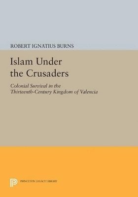 bokomslag Islam Under the Crusaders
