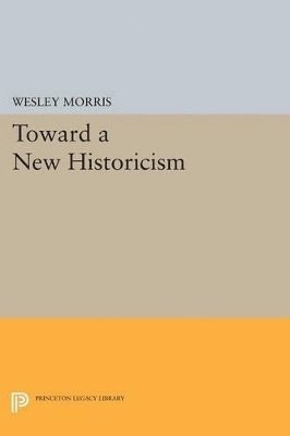 bokomslag Toward a New Historicism