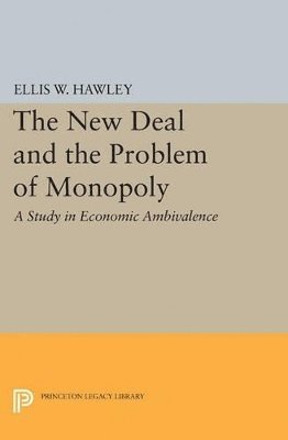 bokomslag The New Deal and the Problem of Monopoly