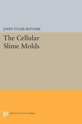 bokomslag Cellular Slime Molds