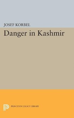 bokomslag Danger in Kashmir