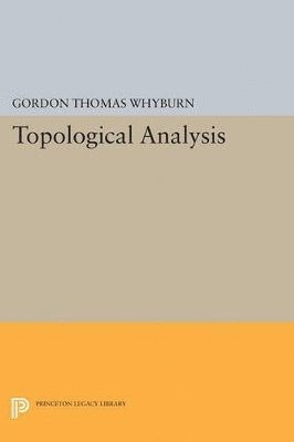 bokomslag Topological Analysis