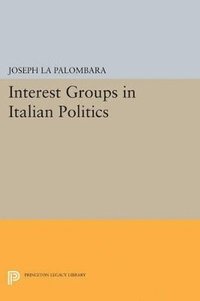 bokomslag Interest Groups in Italian Politics