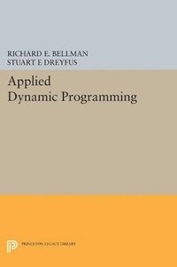bokomslag Applied Dynamic Programming