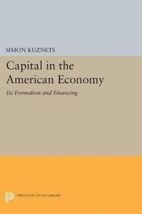 bokomslag Capital in the American Economy