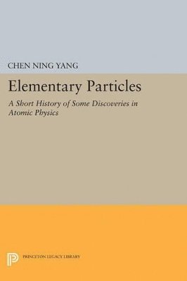 bokomslag Elementary Particles