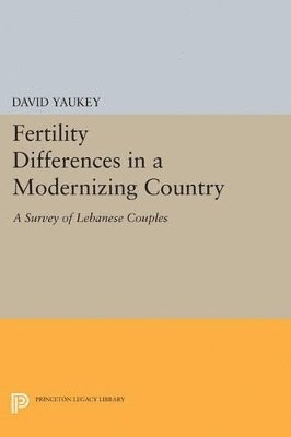 bokomslag Fertility Differences in a Modernizing Country