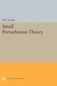 bokomslag Small Perturbation Theory