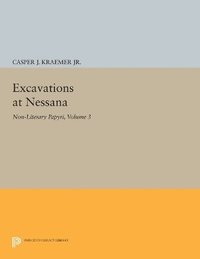 bokomslag Excavations at Nessana, Volume 3