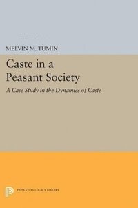 bokomslag Caste in a Peasant Society