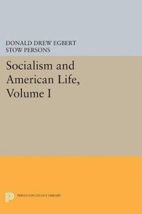 bokomslag Socialism and American Life, Volume I