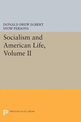 bokomslag Socialism and American Life, Volume II