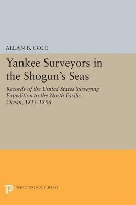 bokomslag Yankee Surveyors in the Shogun's Seas