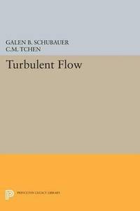 bokomslag Turbulent Flow
