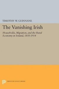 bokomslag The Vanishing Irish