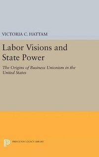 bokomslag Labor Visions and State Power