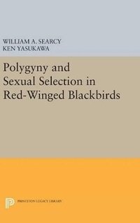 bokomslag Polygyny and Sexual Selection in Red-Winged Blackbirds