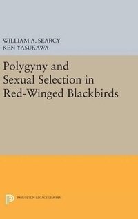 bokomslag Polygyny and Sexual Selection in Red-Winged Blackbirds