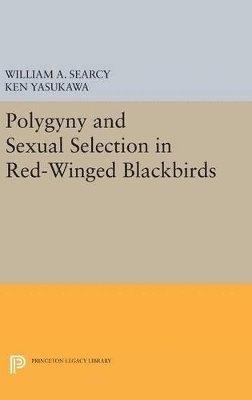 bokomslag Polygyny and Sexual Selection in Red-Winged Blackbirds