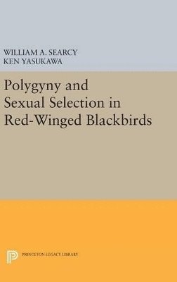 Polygyny and Sexual Selection in Red-Winged Blackbirds 1