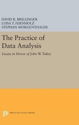 David R. Brillinger, Luisa T. Fernholz, Stephan Morgenthaler - Practice of Data Analysis, Inbunden