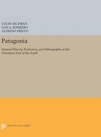 bokomslag Patagonia: Natural History, Prehistory, and Ethnography at the Uttermost End of the Earth