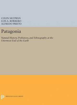 bokomslag Patagonia: Natural History, Prehistory, and Ethnography at the Uttermost End of the Earth