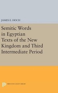 bokomslag Semitic Words in Egyptian Texts of the New Kingdom and Third Intermediate Period