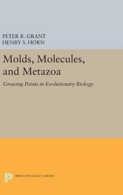 bokomslag Molds, Molecules, and Metazoa