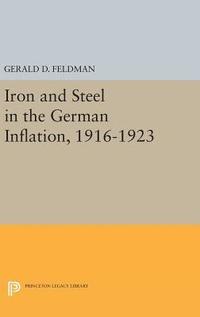 bokomslag Iron and Steel in the German Inflation, 1916-1923