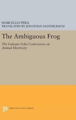 The Ambiguous Frog 1