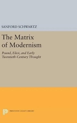 Sanford Schwartz - Matrix of Modernism, Inbunden