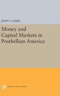 bokomslag Money and Capital Markets in Postbellum America