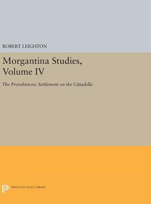 bokomslag Morgantina Studies, Volume IV