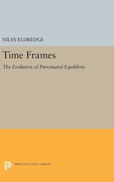 bokomslag Time Frames