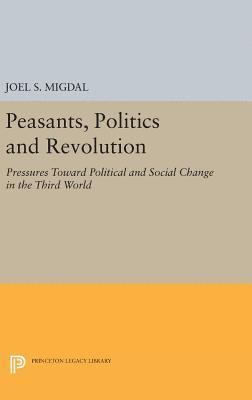 bokomslag Peasants, Politics and Revolution