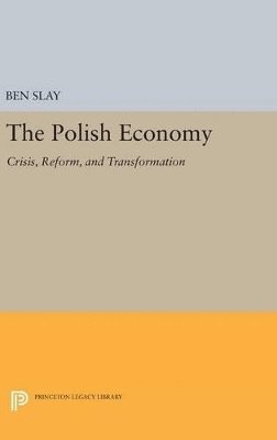 bokomslag Polish Economy