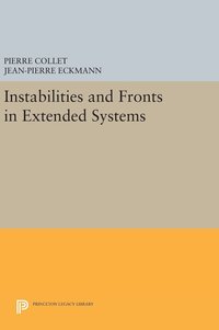 bokomslag Instabilities and Fronts in Extended Systems