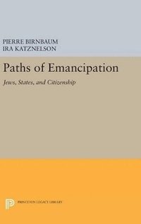 bokomslag Paths of Emancipation