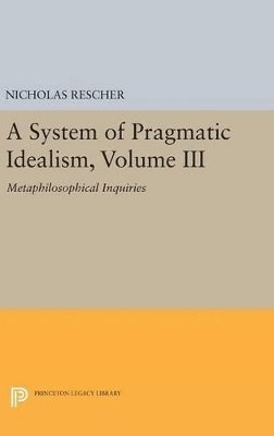 bokomslag A System of Pragmatic Idealism, Volume III