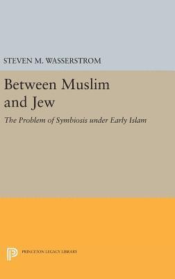 bokomslag Between Muslim and Jew