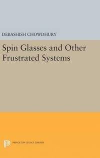 bokomslag Spin Glasses and Other Frustrated Systems