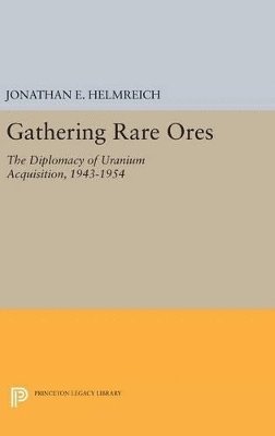 Gathering Rare Ores 1