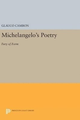 bokomslag Michelangelo's Poetry