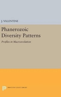 bokomslag Phanerozoic Diversity Patterns