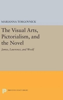 bokomslag The Visual Arts, Pictorialism, and the Novel