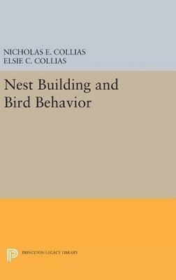 bokomslag Nest Building and Bird Behavior