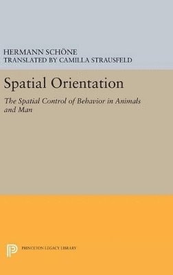 bokomslag Spatial Orientation