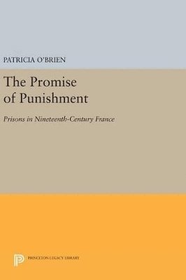 Patricia O'Brien - Promise of Punishment, Inbunden