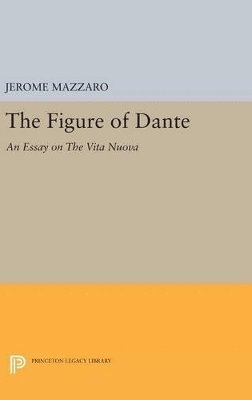 Jerome Mazzaro - Figure of Dante, Inbunden